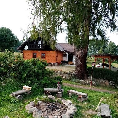 Penzion Olšina 31 Horní Planá Exteriér fotografie