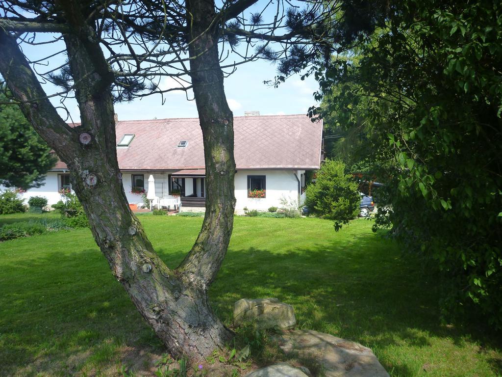 Penzion Olšina 31 Horní Planá Pokoj fotografie